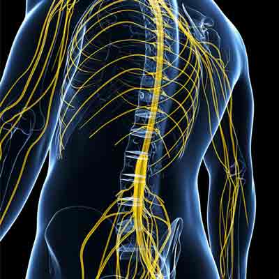 Decompression-of-Nerves