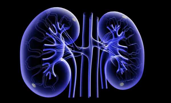 healthykidneys