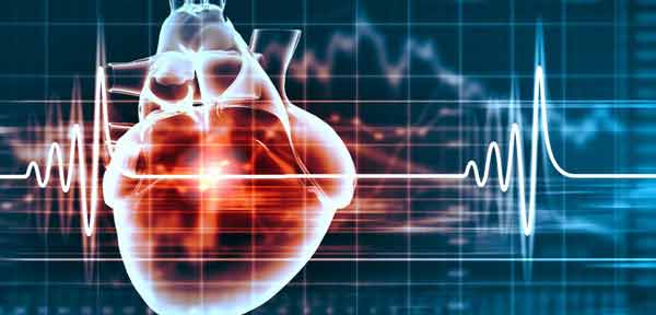 heart-and-cardiogram